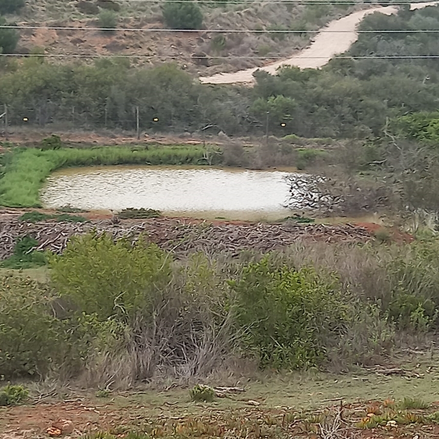 0 Bedroom Property for Sale in Outeniquasbosch Western Cape